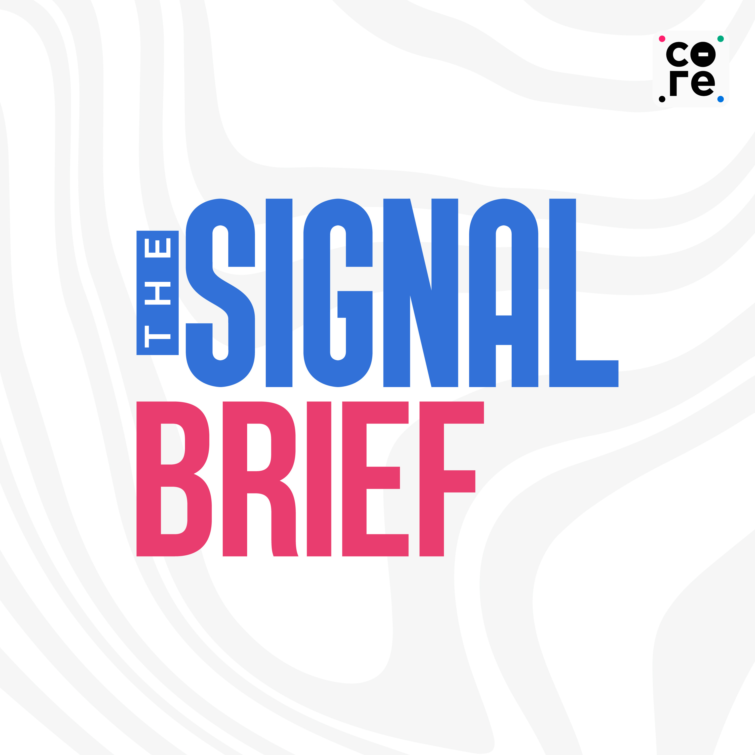The Signal Brief