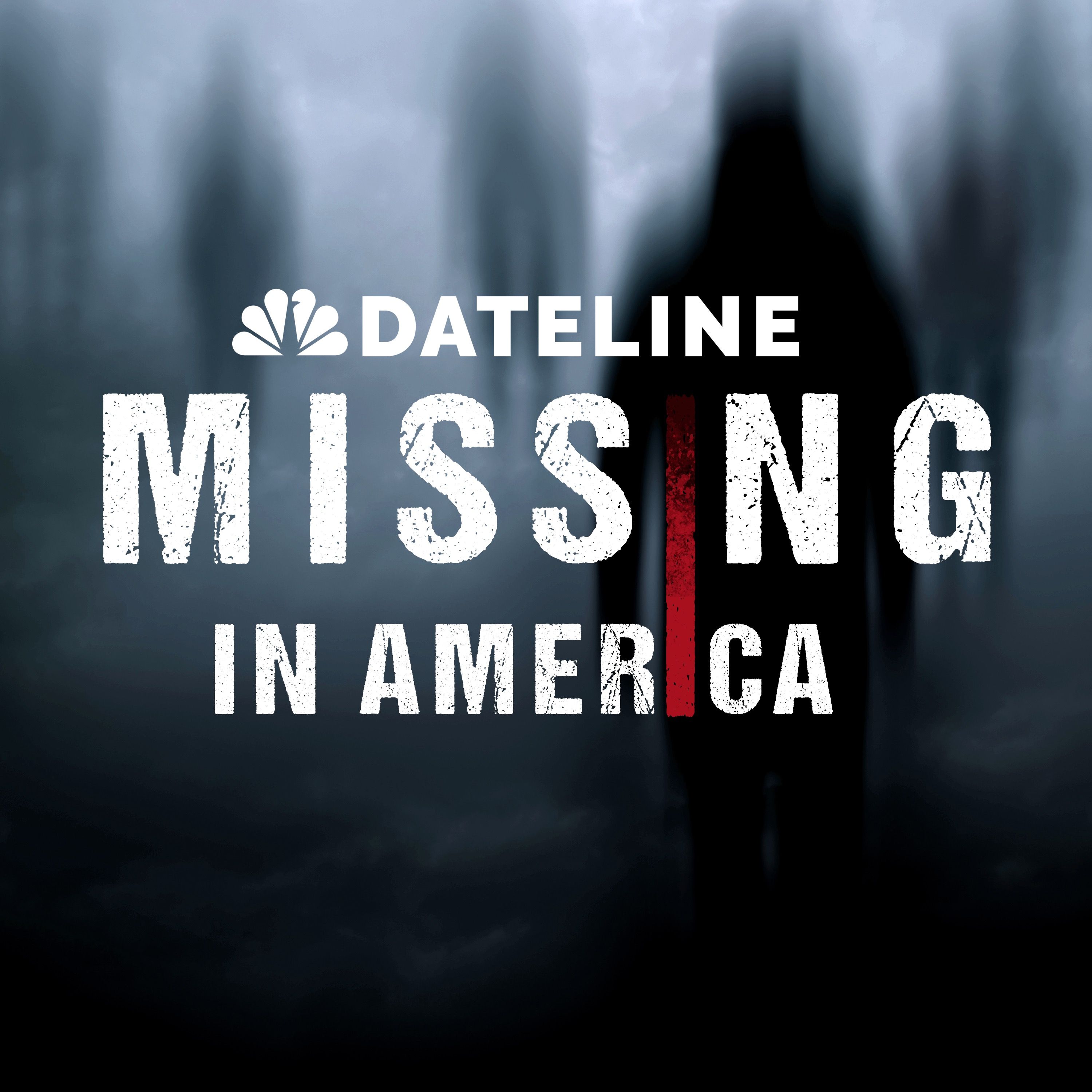 Dateline: Missing in America