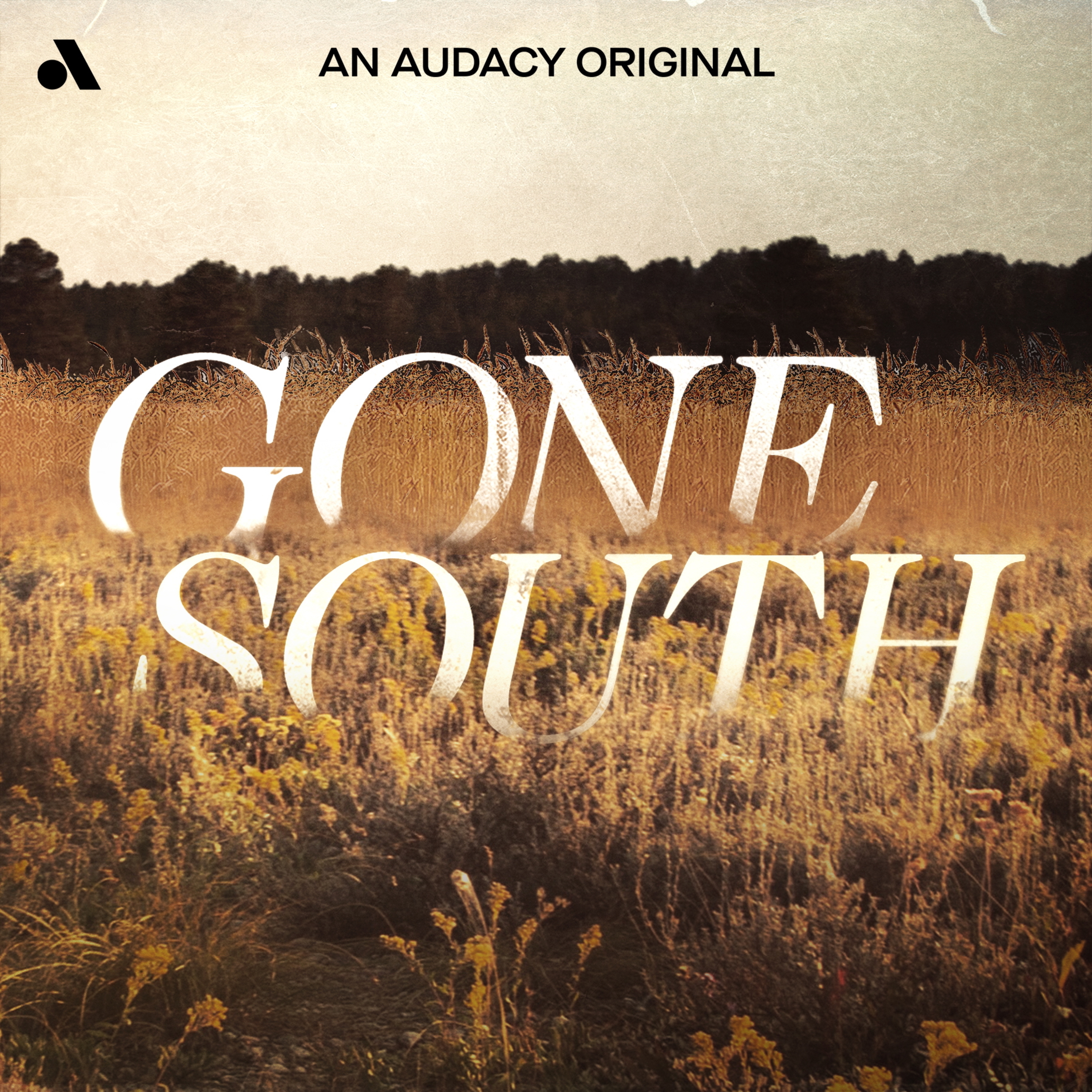 Gone South