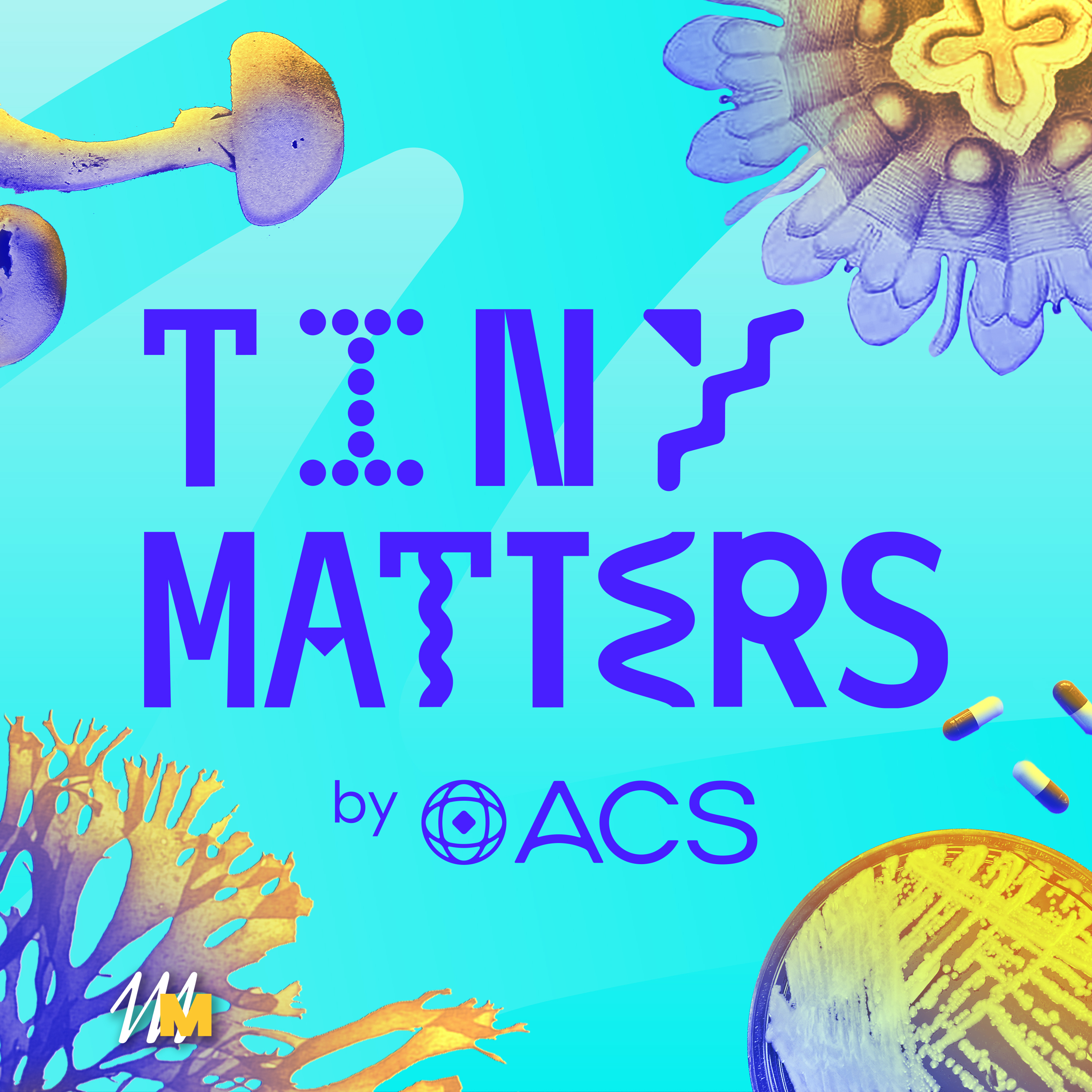Tiny Matters