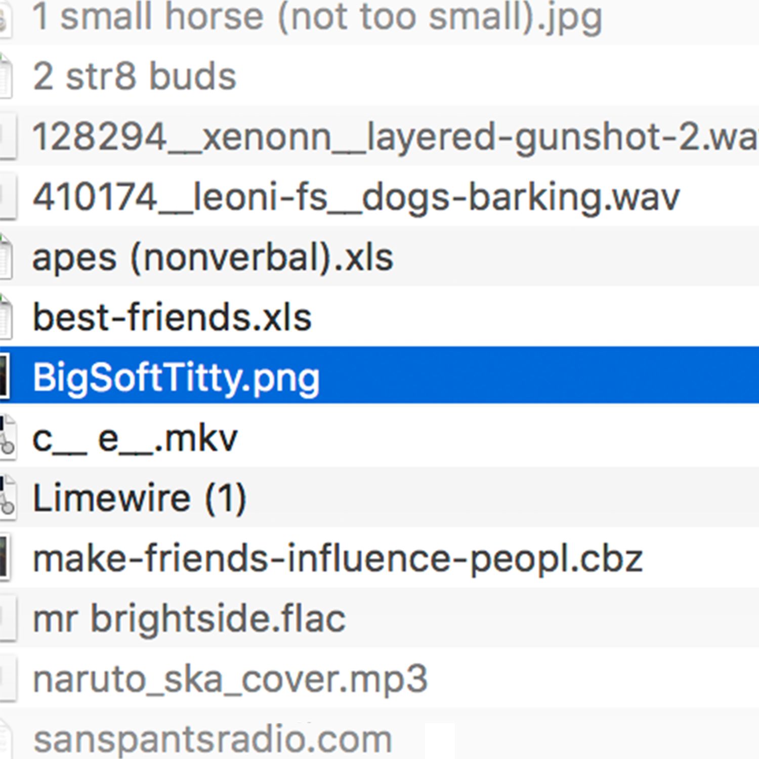 bigsofttitty.png