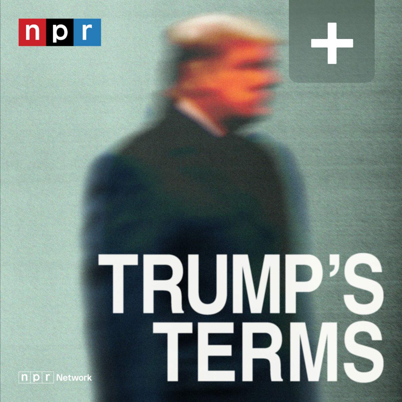 Trump's Terms  Plus