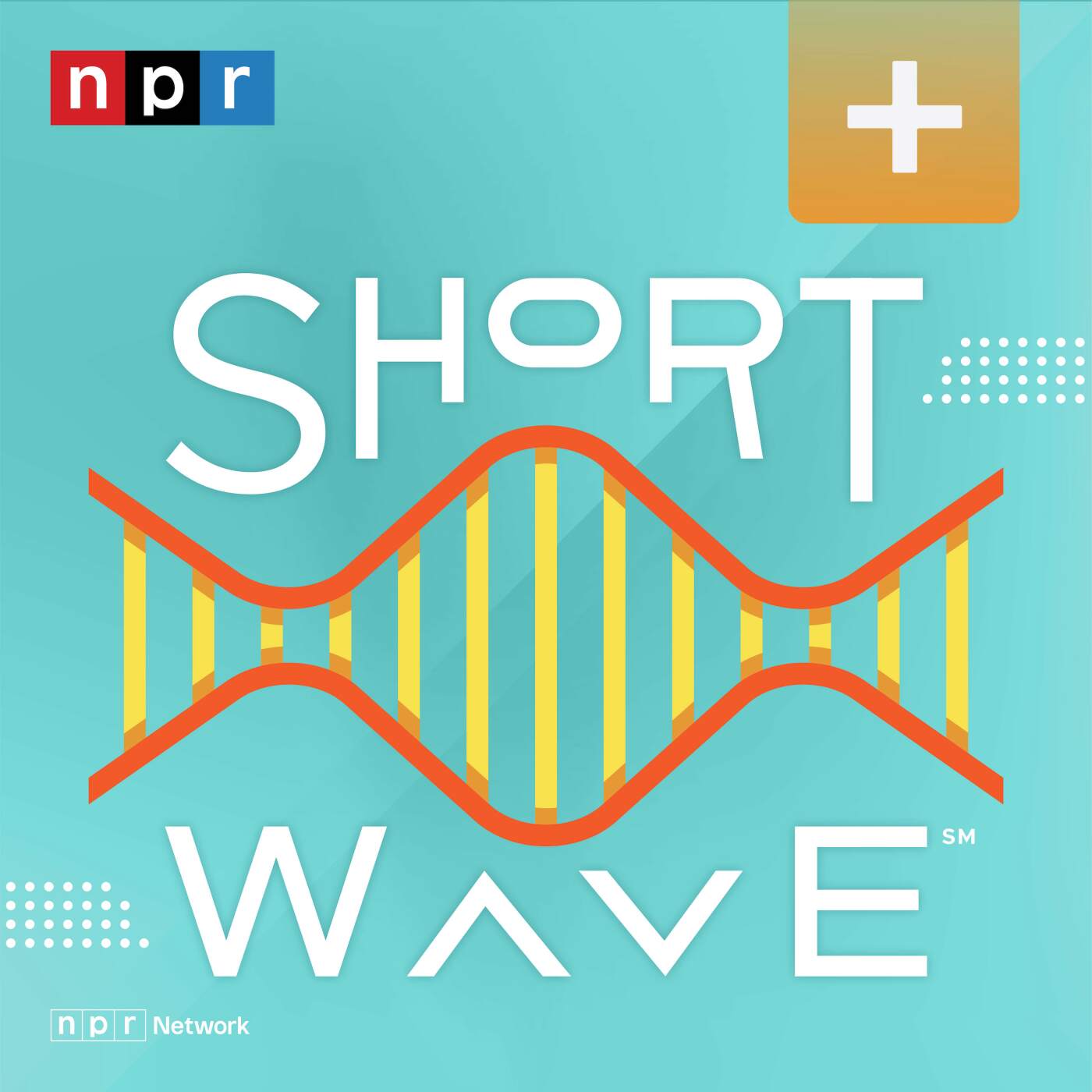 Short Wave Plus