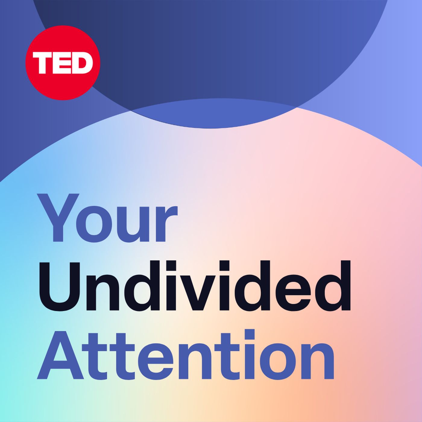 Your Undivided Attention